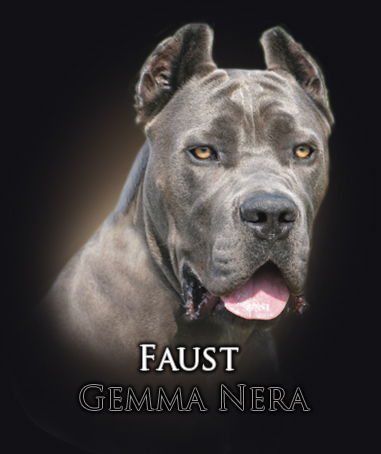 faust